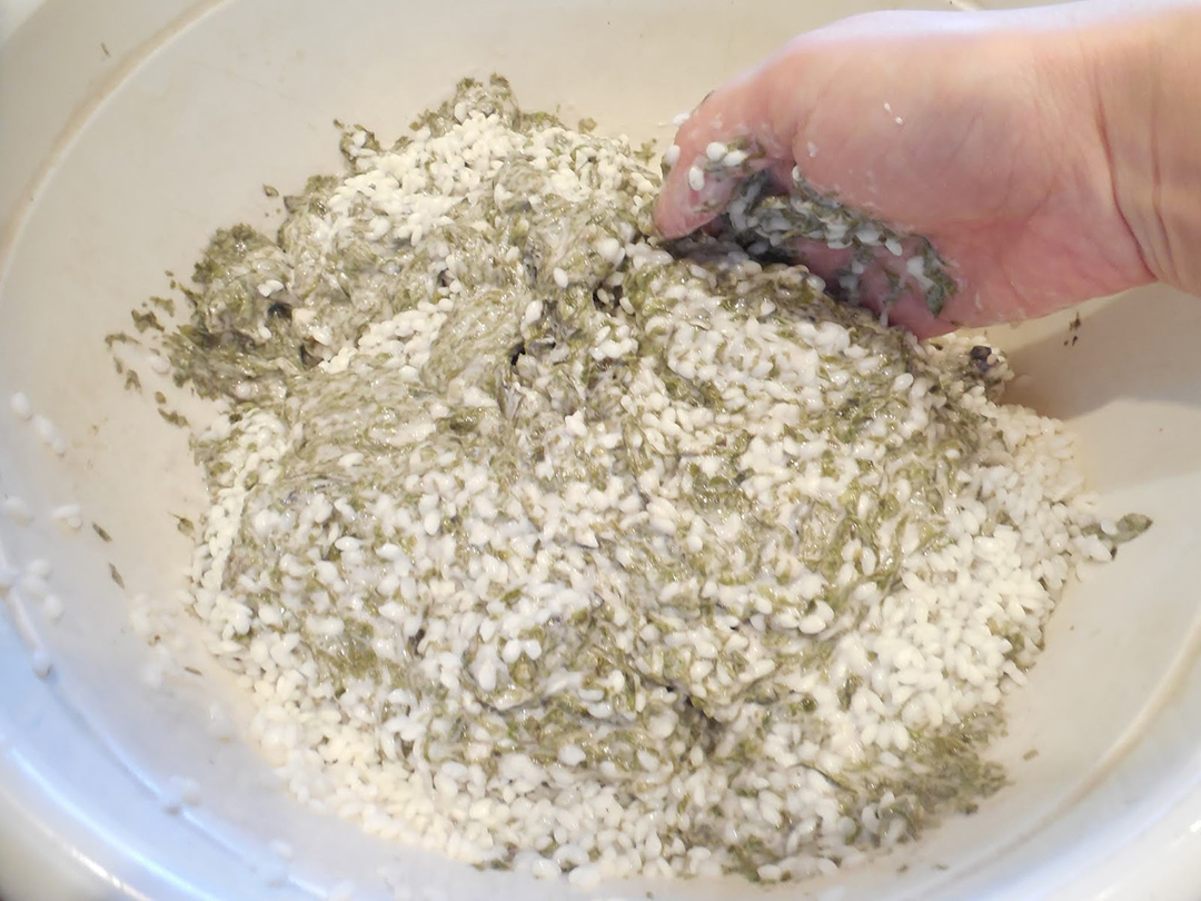 这才是糯米最好吃的做法外酥里糯,糯米最简单最好吃的做法