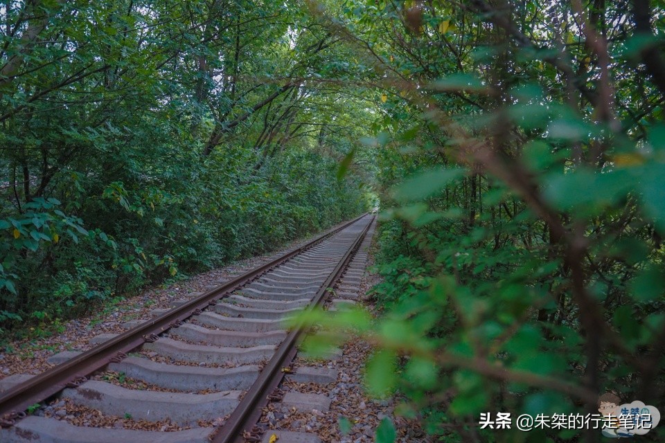 春节合肥周边游玩景点推荐大全,合肥春节有哪些新景点可打卡