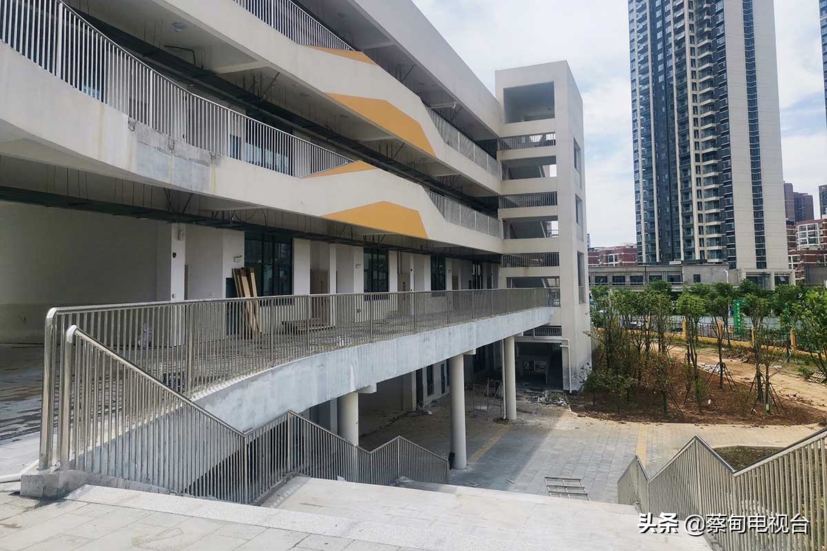 蔡甸小学开学名单,蔡甸学校什么时候正常开学