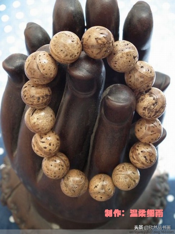 印度菩提子的种类,海南菩提子的种类