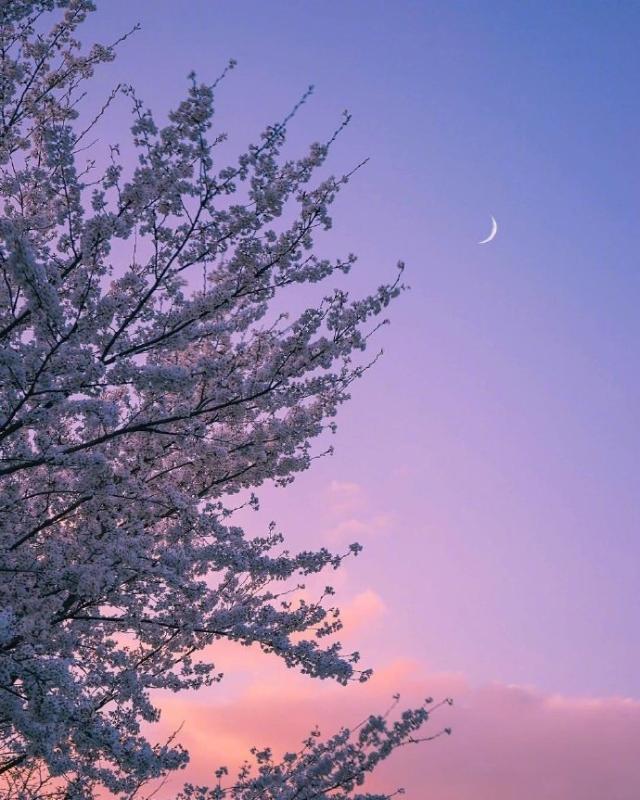 人生的格言句句精辟,最精辟的人生格言句句经典