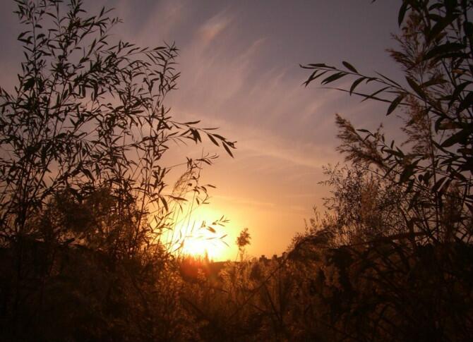 成都到额济纳旗五日游,南京到额济纳旗旅游攻略