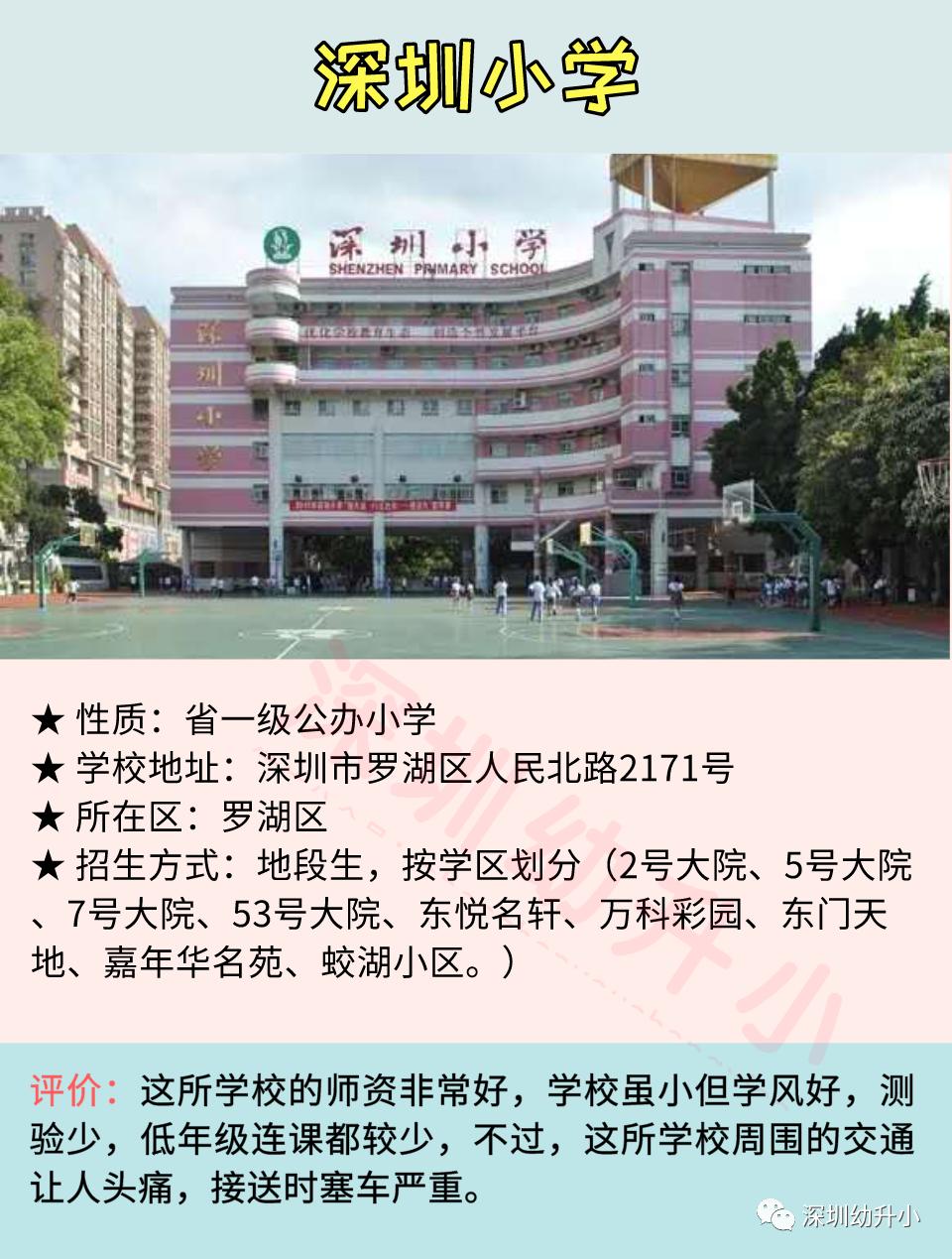2020深圳小学排名前100名名校,深圳十大小学学校排名榜