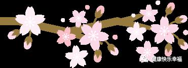 孩子好动注意力不集中的引导方法,13岁孩子注意力不集中爱动怎么办