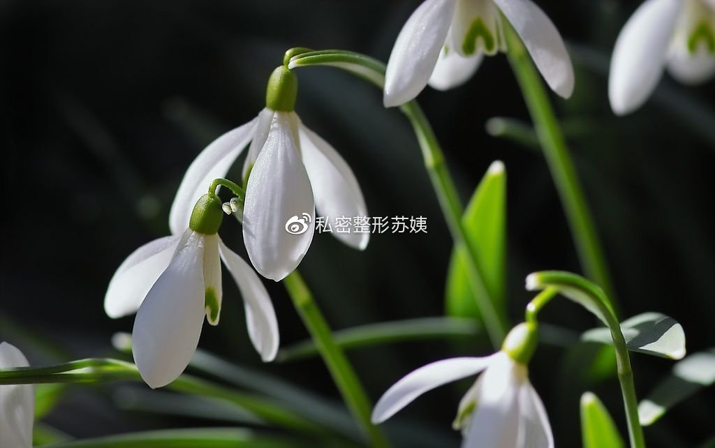 女人下身有豆腐渣现象普遍吗,女人妇科豆腐渣是什么