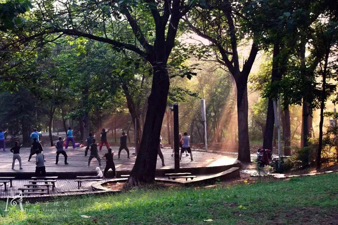 潍坊五一夜晚适合去哪里玩,潍坊海上明珠乐园五一活动