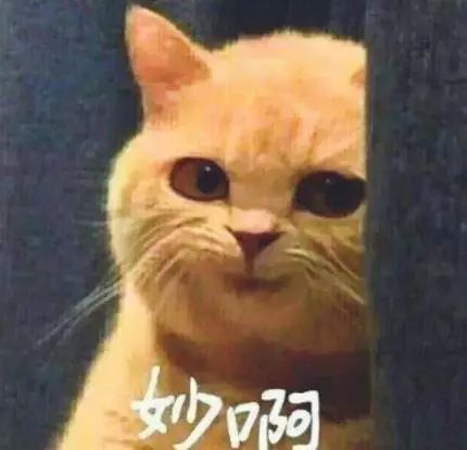 30个影源秒切换，它才是真正的*机追手**剧之王