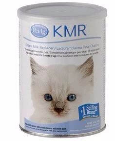 小奶猫喝了羊奶拉稀怎么办,奶猫喝凉牛奶会拉稀吗