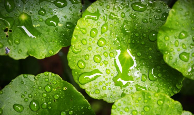 关于下雨的英文表达,关于雨的所有诗句