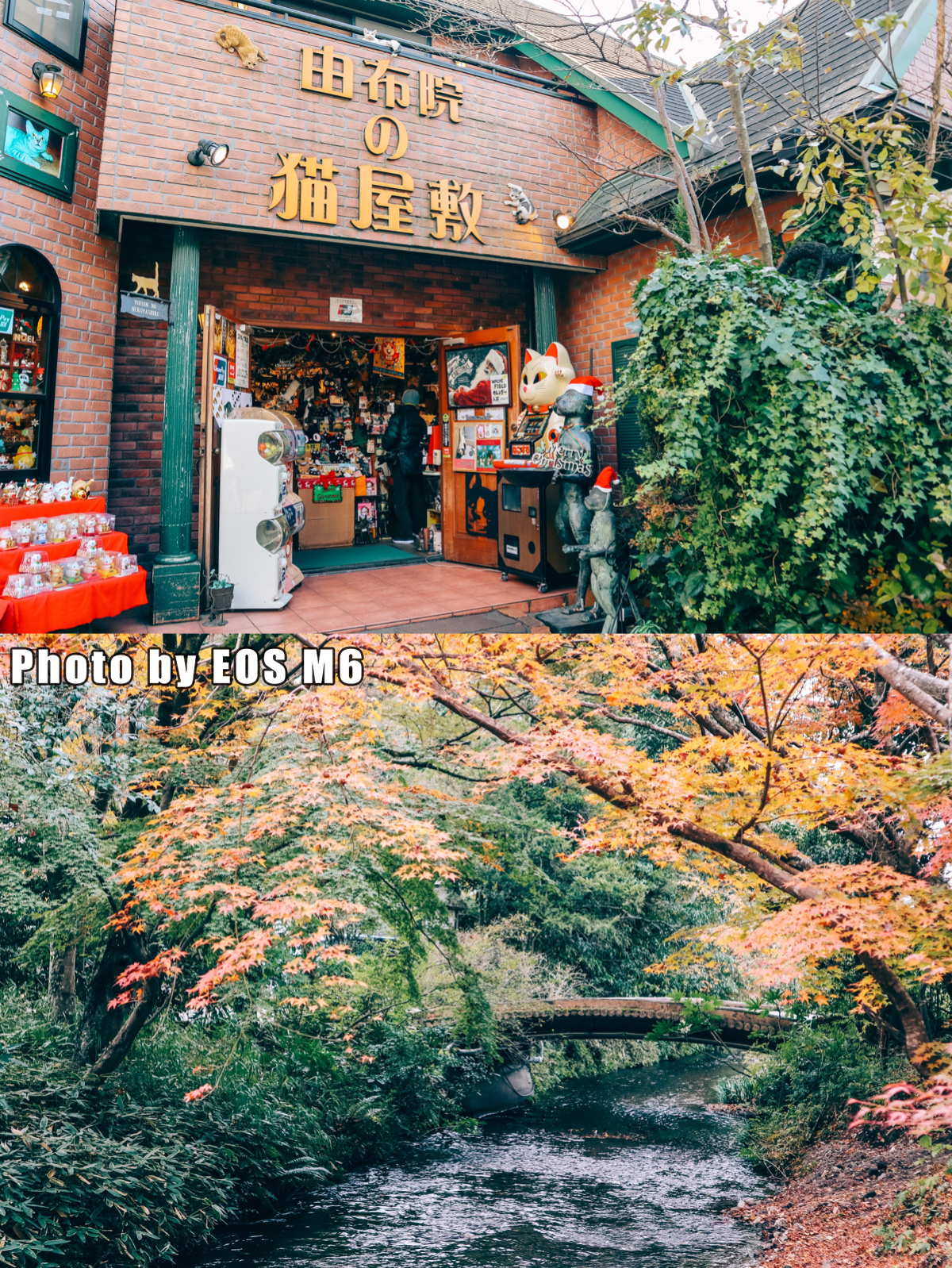 日本温泉之旅攻略大全图片,日本温泉旅游攻略自驾