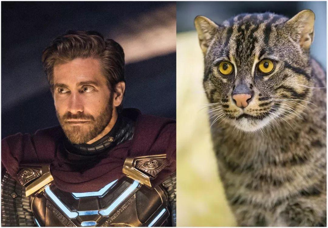 蜘蛛侠凭什么接班钢铁侠?托尼:全宇宙他最像我!(附录彩蛋)