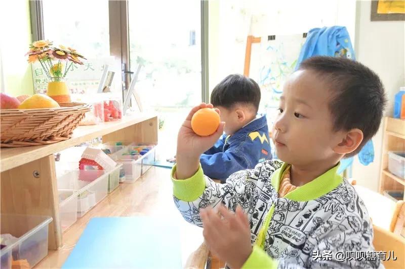 小班课程故事《好吃的桔子》