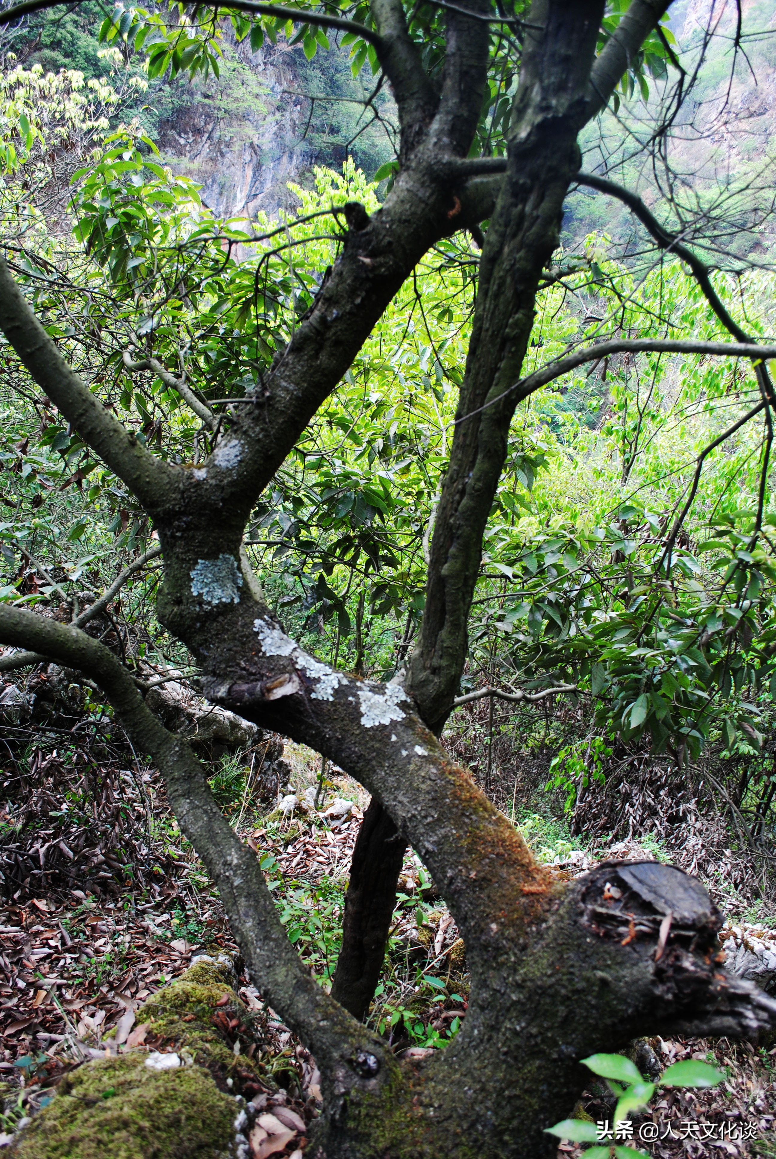 羊场旅游资源探析