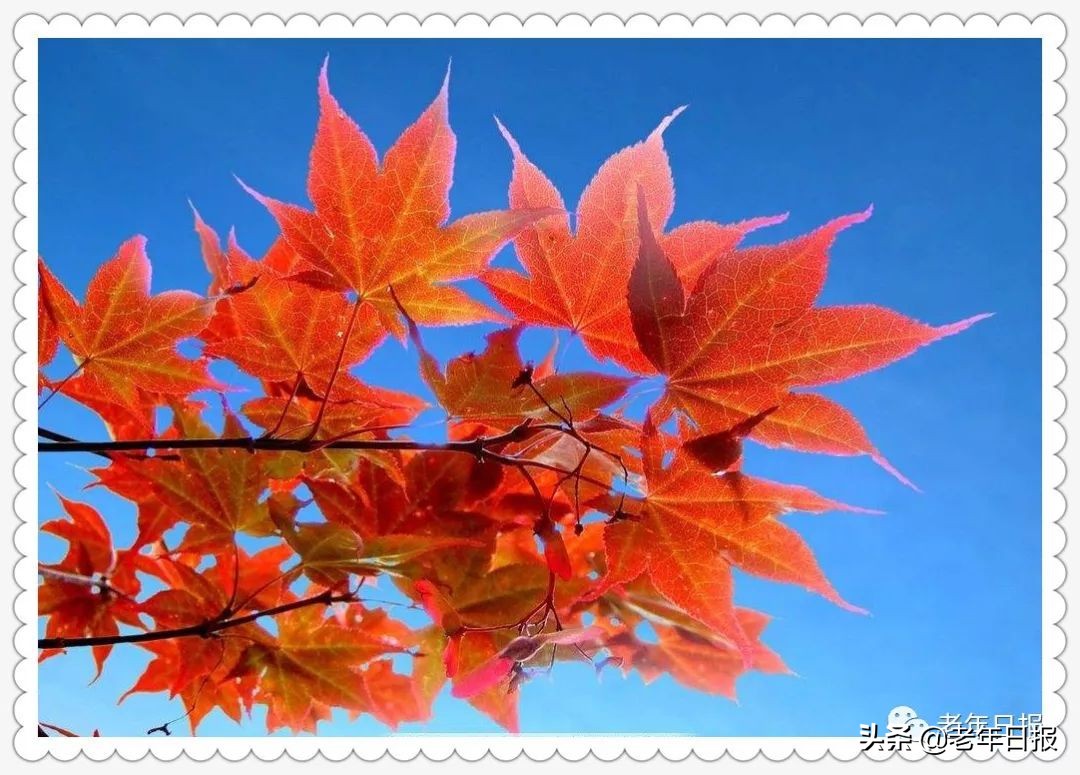 17篇情感微小说，短到极致，却催人泪下，看完泪眼模糊