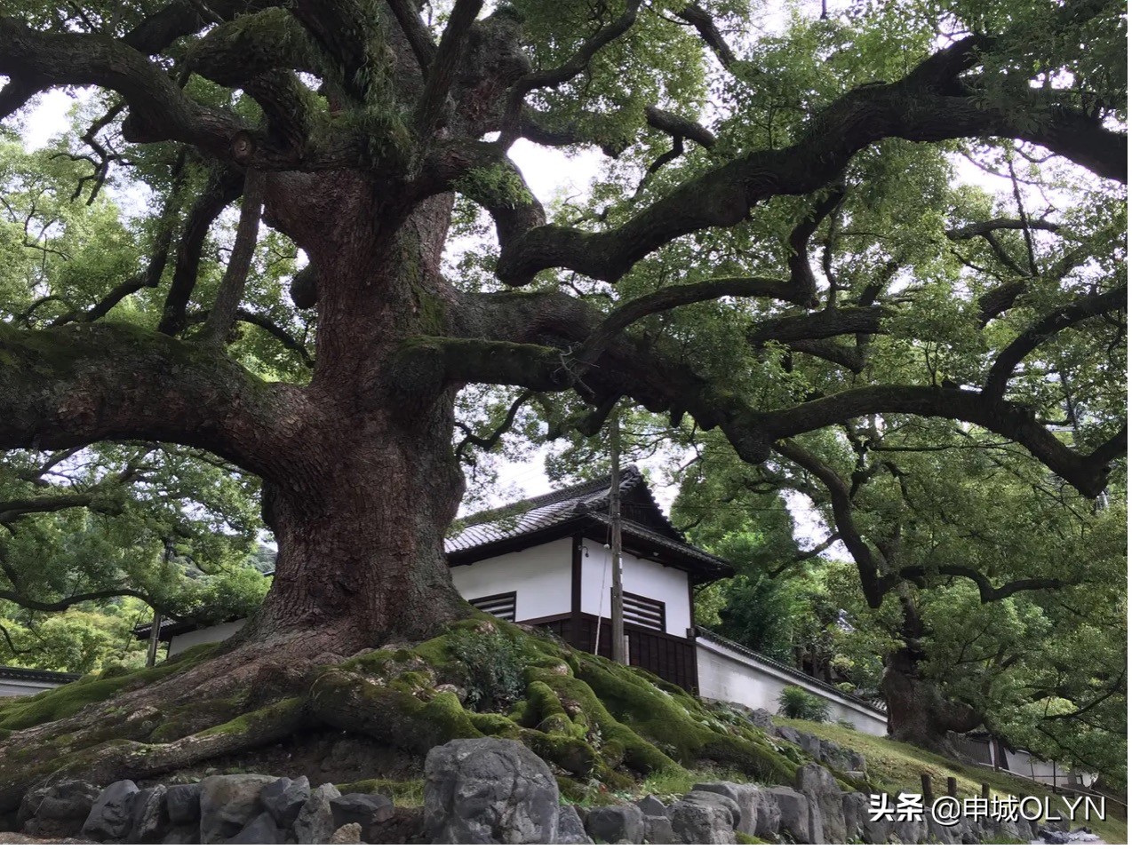 日本三年签证去冲绳和大阪,曾经申请过日本签证