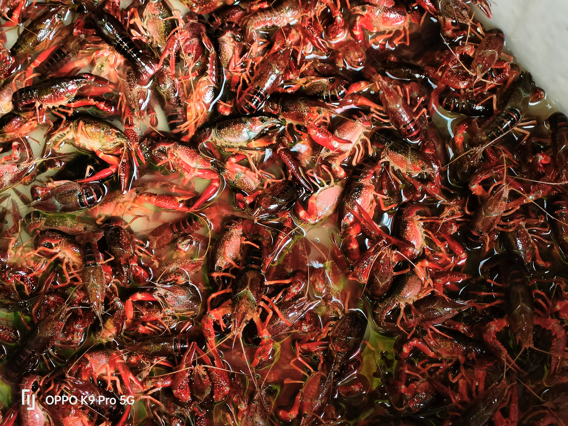 oppok9pro有哪些优点和缺点,oppok9pro评测最新