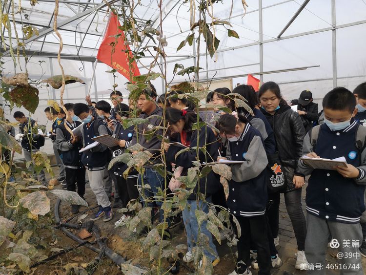 体耕读文化彰劳动之美——记合肥三十九中劳动研学活动