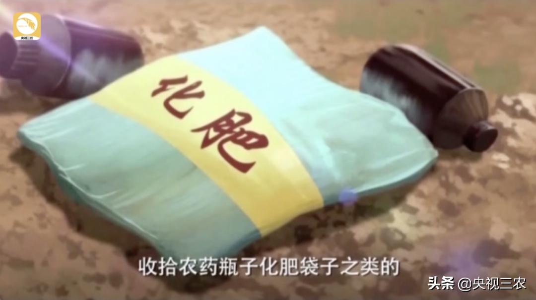 水稻倒伏怎么防止发芽,水稻可以用二甲四氯钠防止倒伏吗