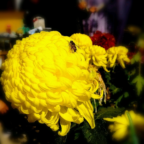 自己的微信所有群,微信怎么查我加入的群