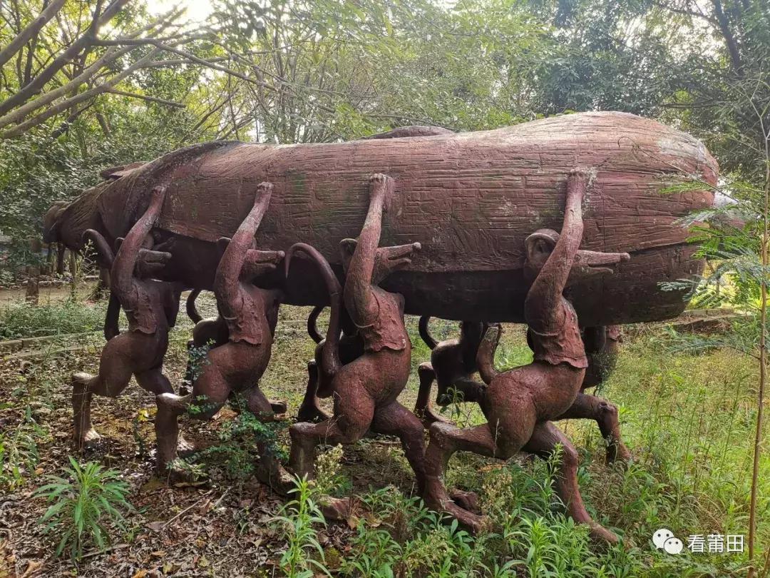 莆田快乐农庄风景视频,莆田华林快乐农庄