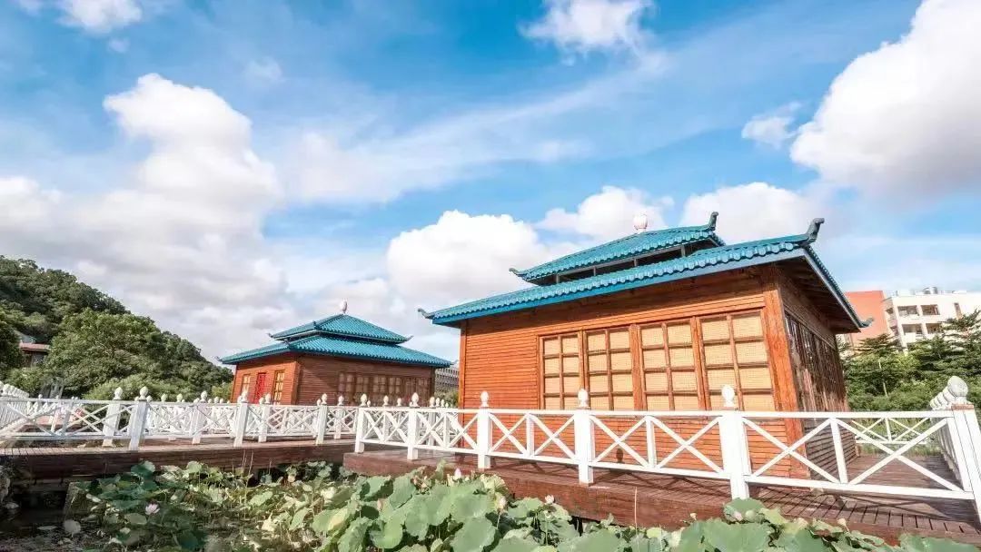 全国高校食堂美食排名,高校美食大赏隔壁都馋哭了