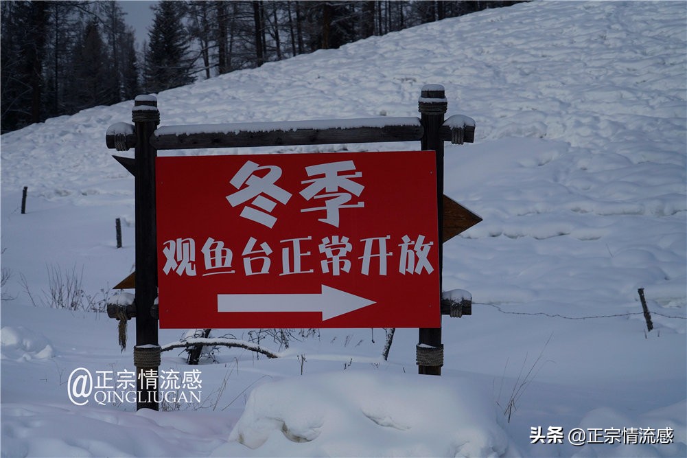 诗与远方：冬游喀纳斯