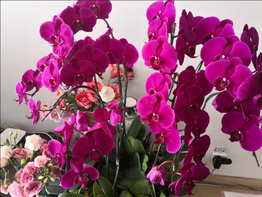 人情淡薄如纸，世态炎凉，胜者才为王!