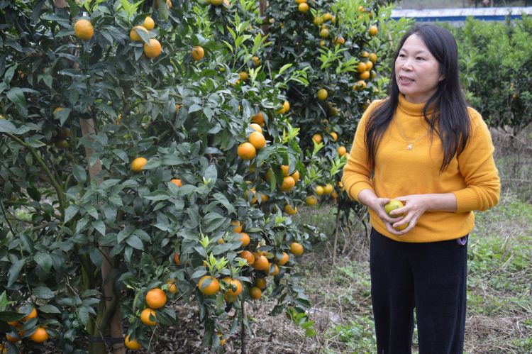 以购代帮助力消费扶贫,以购代捐是消费扶贫吗