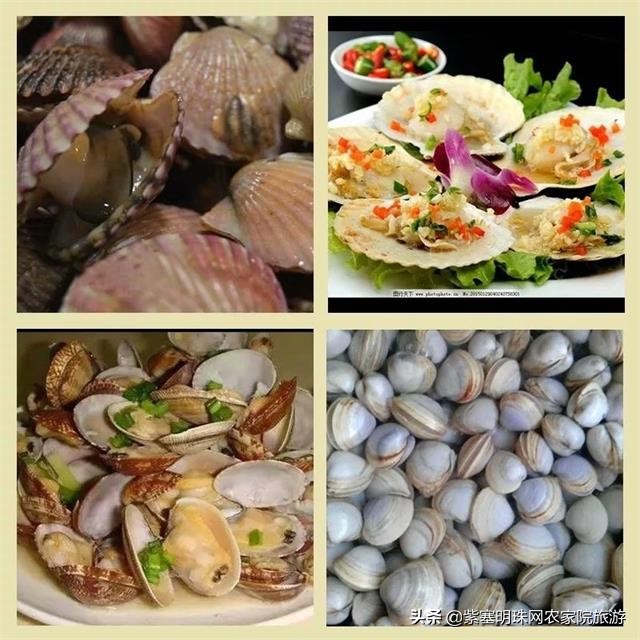 去赶海抓螃蟹海边淋雨捡贝壳,来海边抓螃蟹拾贝壳