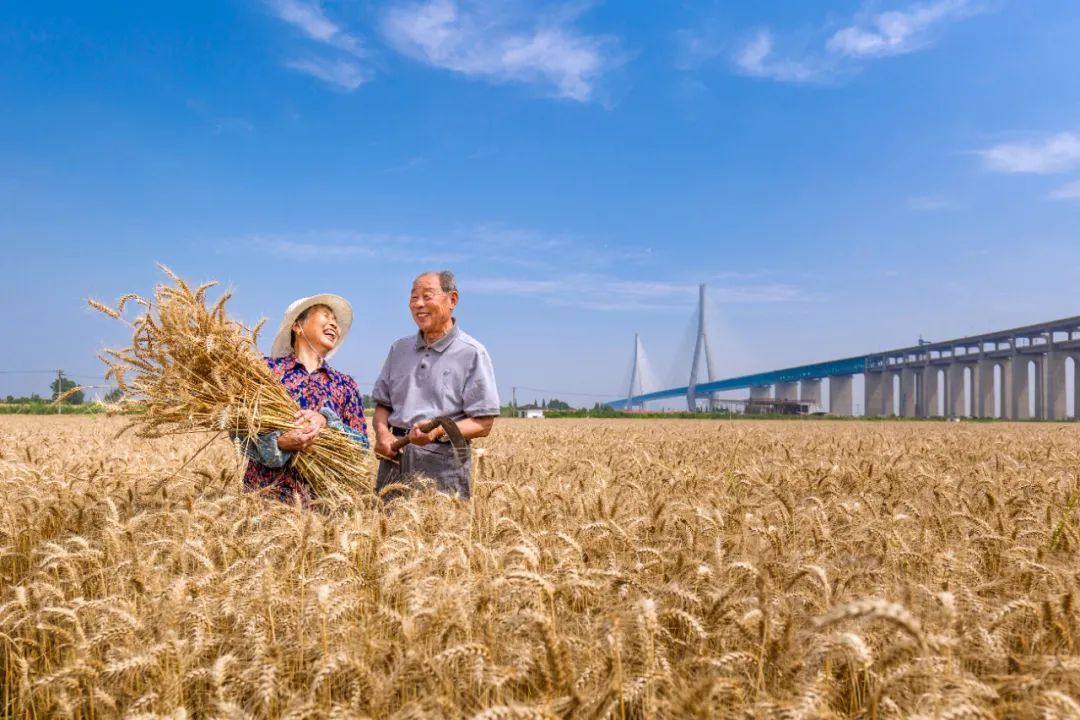 走向我们的小康生活9张海报,幸福新时代主题摄影作品