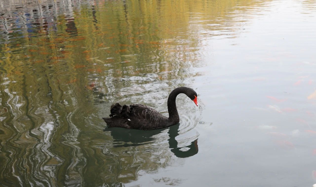 济南免费遛娃的地方,济南市十一带娃游玩好去处