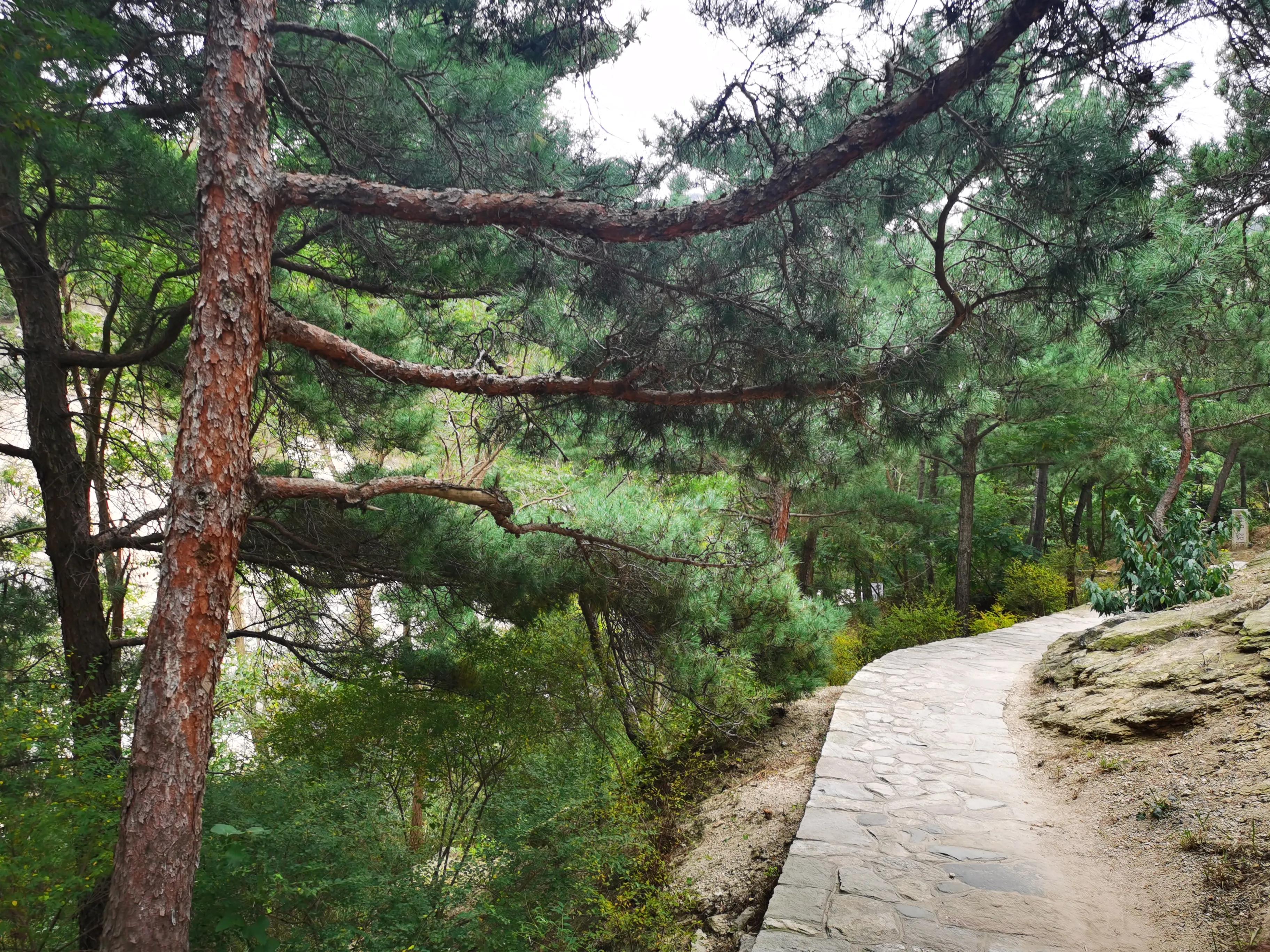 山东烟台山有什么景点,烟台山瀑布