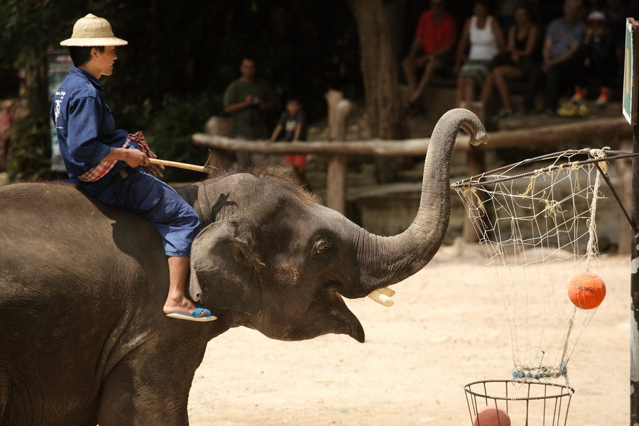 泰国清迈自由行旅游七天游,泰国清迈旅游白庙