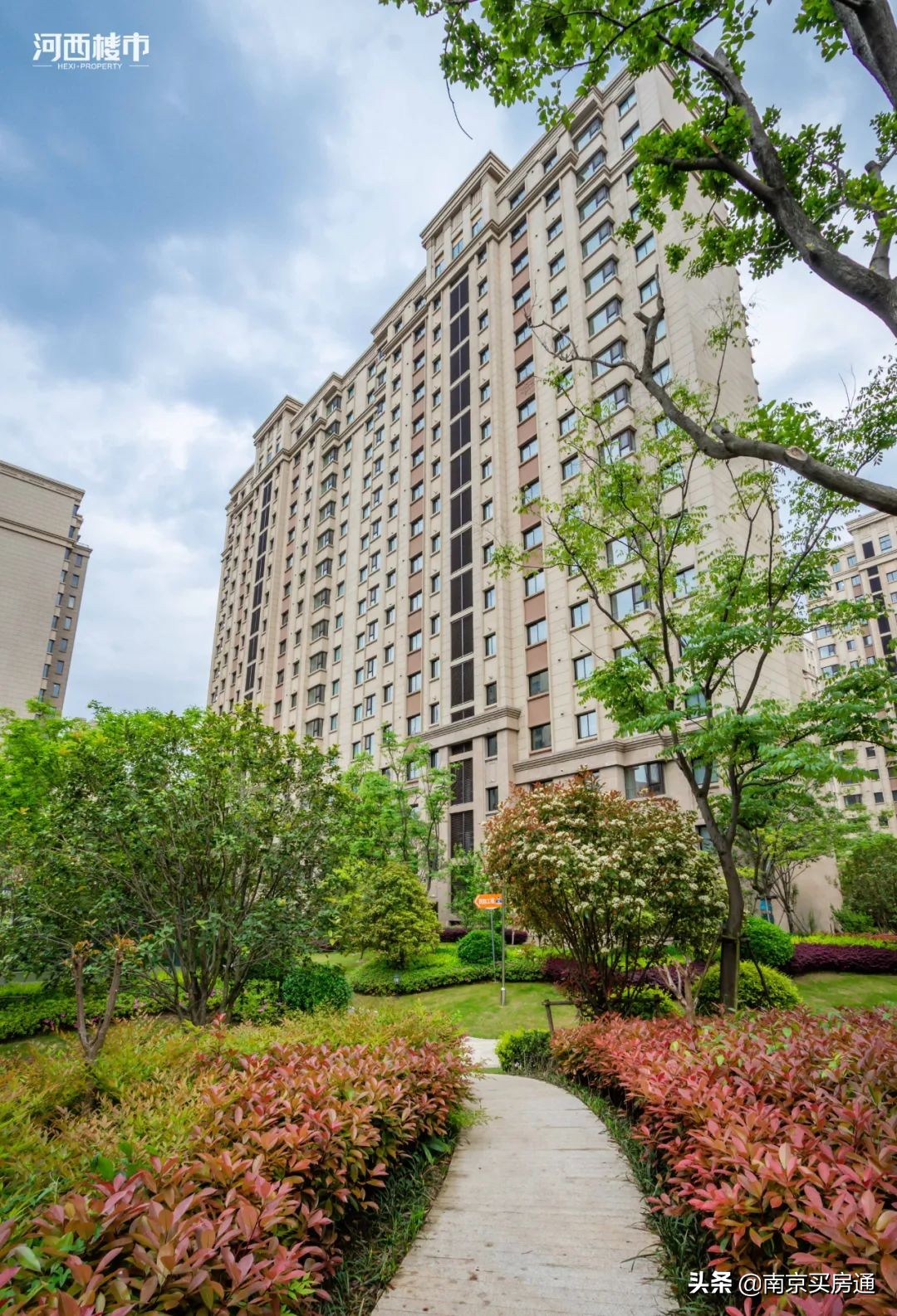 河西中新豪宅全景图,河西中心豪宅内部图片