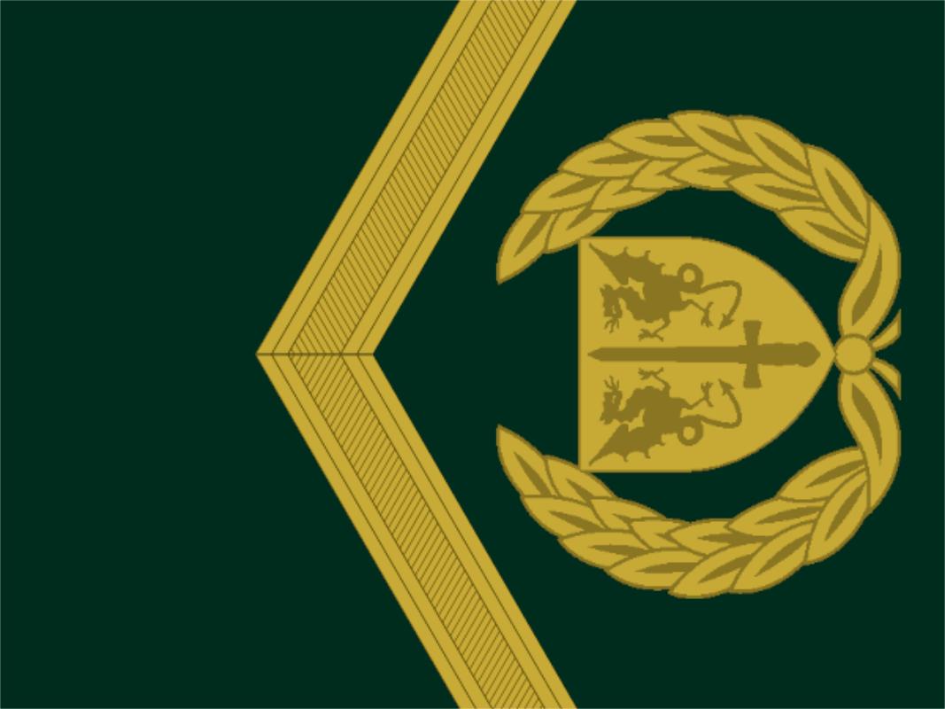 各国军衔标识葡萄牙,西班牙军衔等级一览表