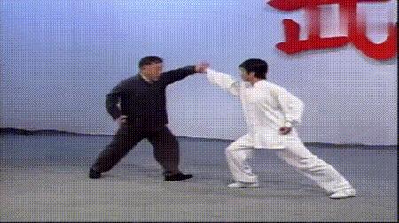 螳螂拳的实战杀法,最猛螳螂拳全套慢动作教学