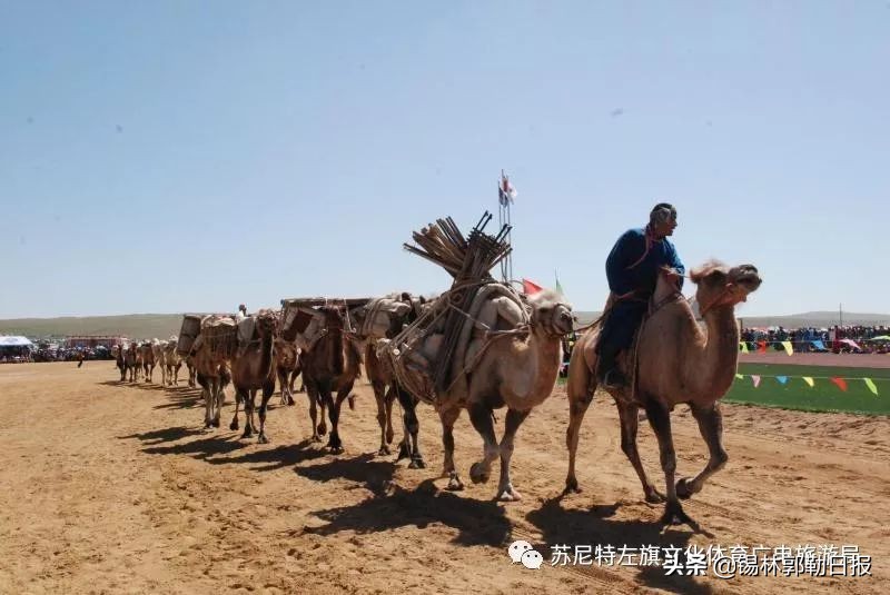 2018年内蒙古博克大赛,锡林郭勒盟蒙古搏克超级联赛