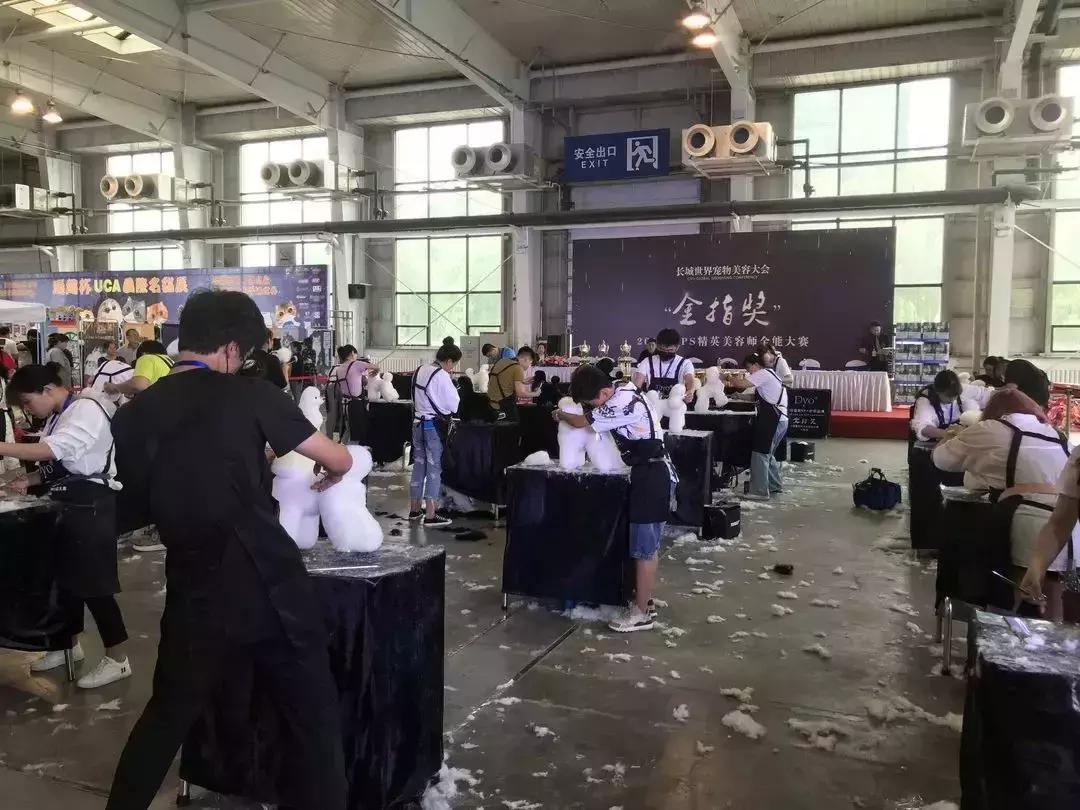 美容行业一个月能赚10000吗,美容师月薪上万是真的吗