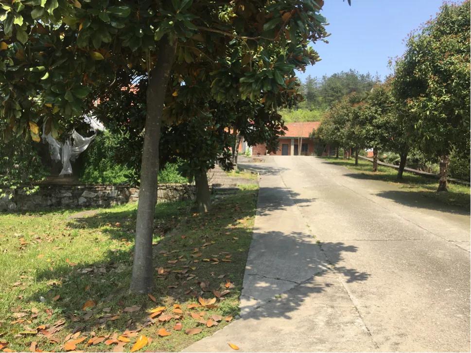 大山里三线厂旧址,谷城县今年有啥重大工程