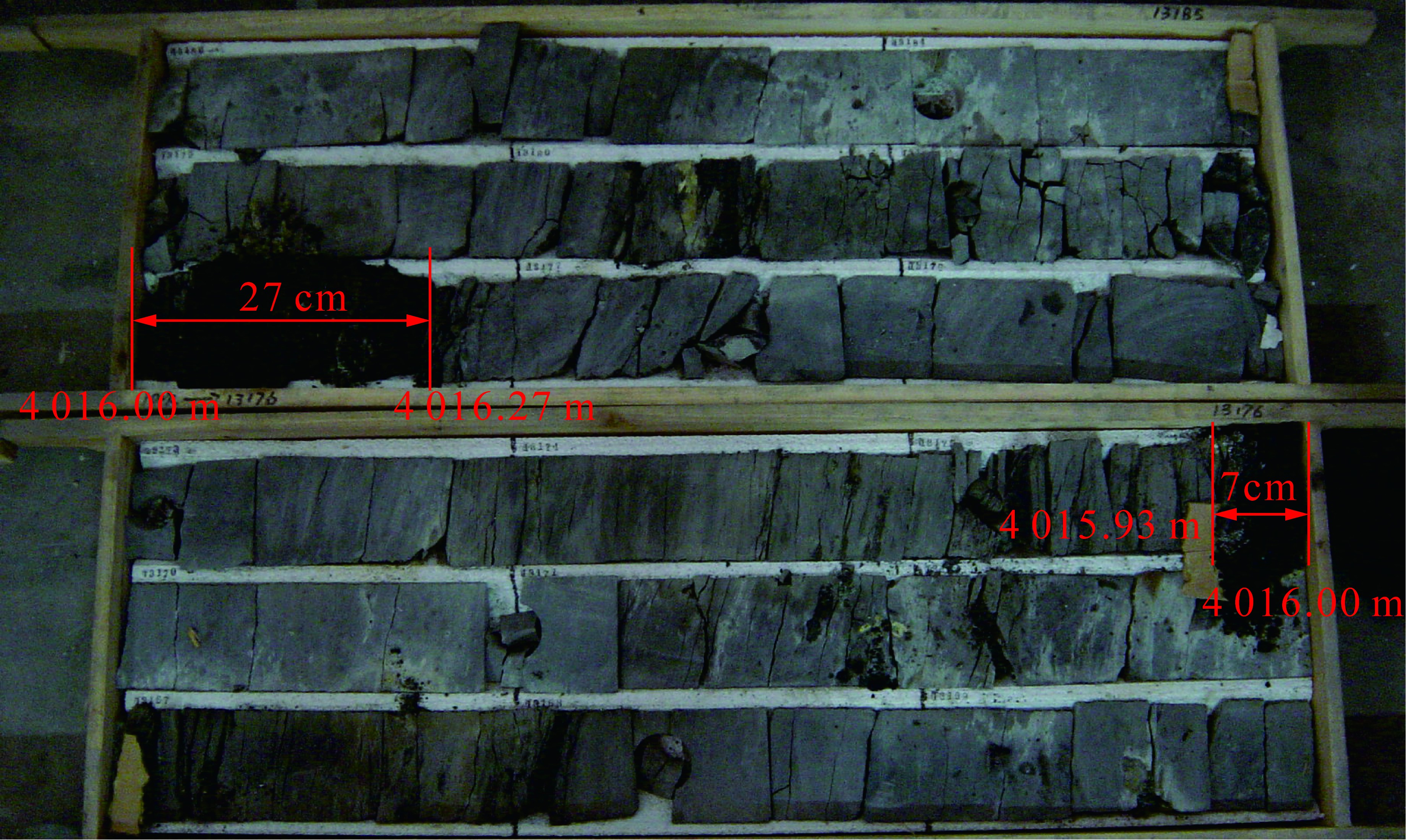 南海渔业资源丰富,南海石油为什么丰富