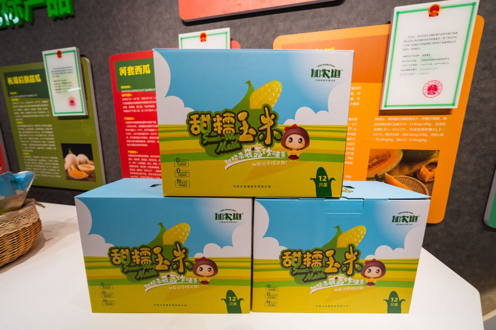 她是滔滔千里黄河的宠儿,阴山之下、河套之上的掌上明珠