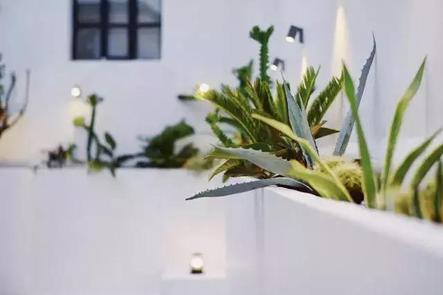 厦门民宿海景房一家四口,厦门摩洛哥民宿