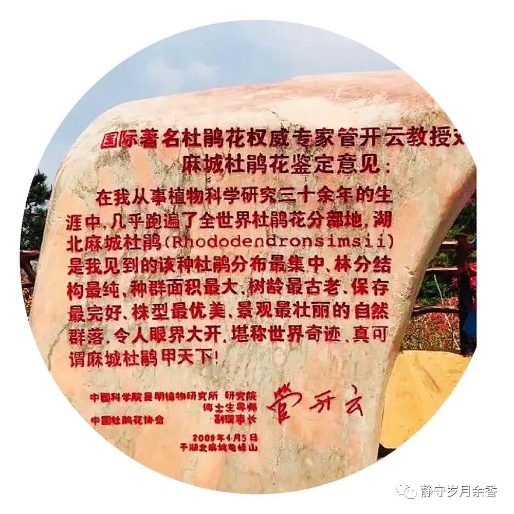 情满龟峰·诗涌花海