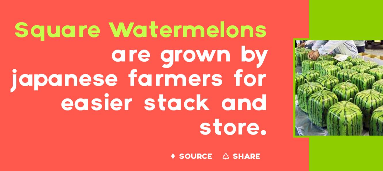 在日本的十大奇葩现象,日本人不曾在意的细节