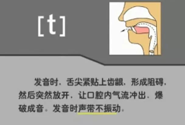 英语音标发音表48个音标正确读法,英语干货48个音标快速记忆法下