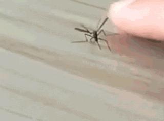 这场蒜味的持久战，是每一个嗜蒜如命的人不知道的事（菲李漫画）