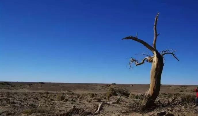 缺钱的症状和危害,缺钱真的很可怕