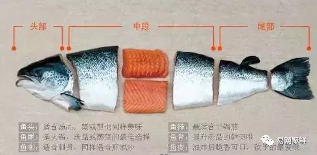 三文鱼都可以做成哪些好吃的,三文鱼鱼头适合多吃吗