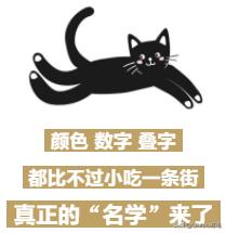 每只猫的名字都能叫出来,一只小公猫的名字