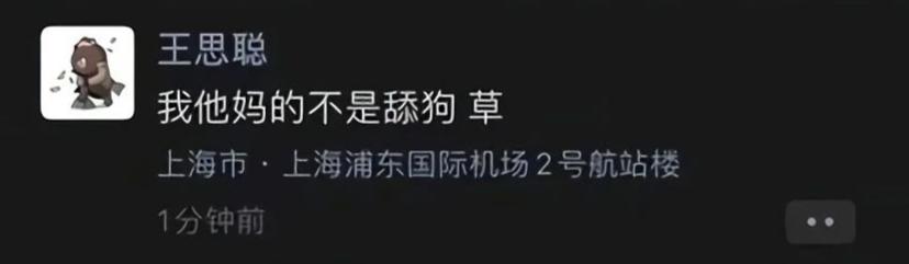 解析真正富二代王思聪,富二代王思聪怎么样了
